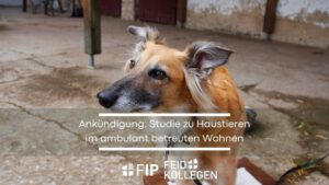 Ankündigung: Studie zu Haustieren im ambulante betreuten Wohnen