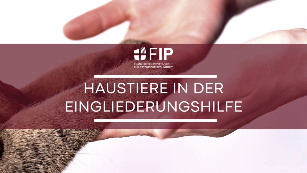 Titel: Haustiere in der Eingliederungshilfe. Im Hintergrund: Katzenpfoten in menschlichen Händen