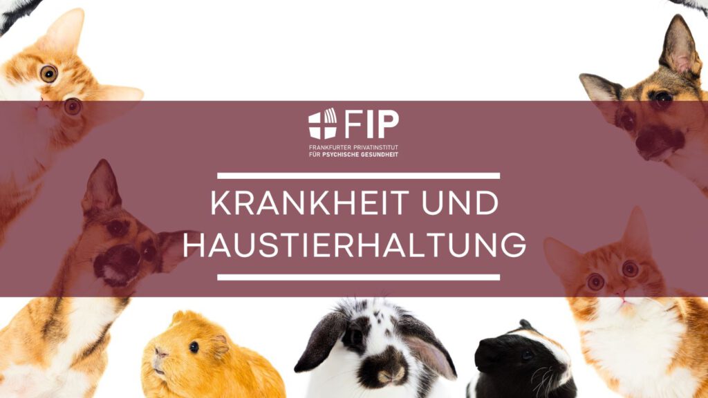 Titel: Krankheit und Haustierhaltung, im Hintergrund und Rand Bilder von Katzen, Hunden und Kleintieren