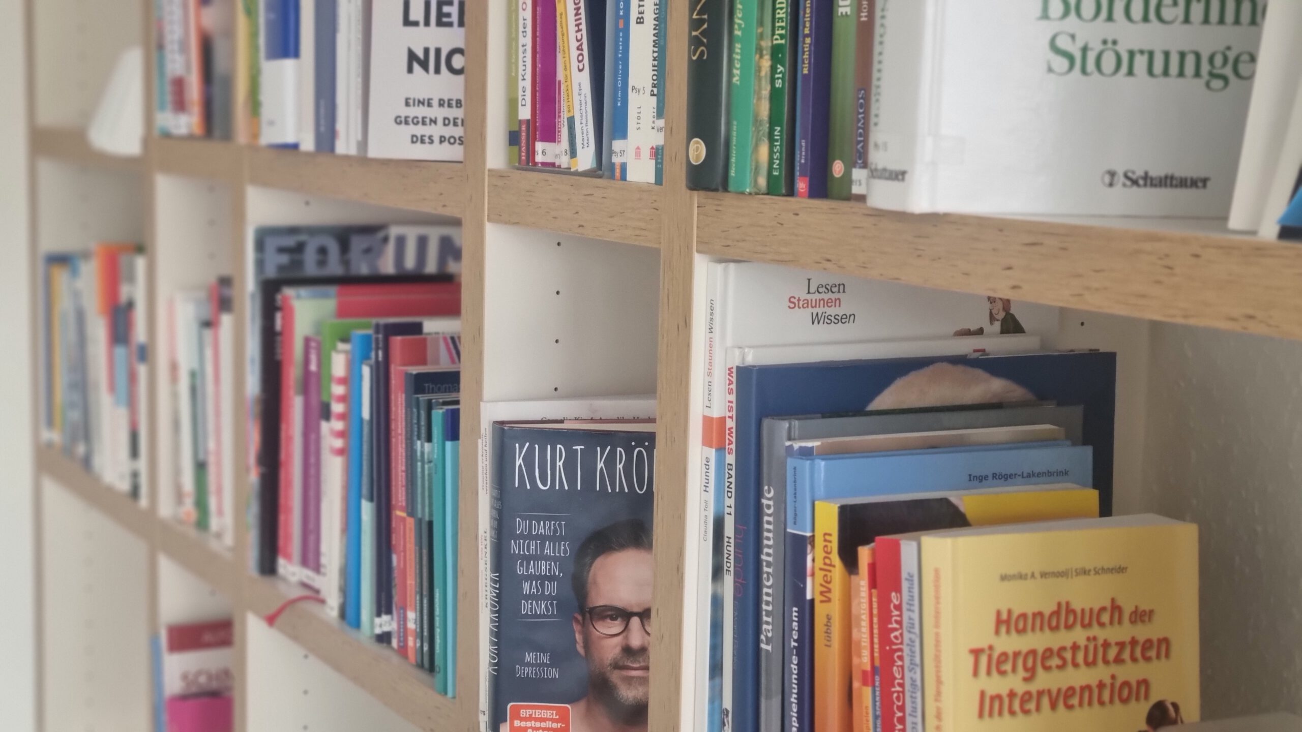 Blick ins Bücherregal