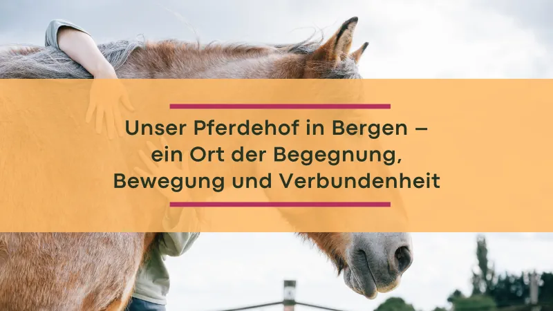 Titel: Unser Pferdehof in Bergen, im Hintergrund der Kopf eines Pferdes